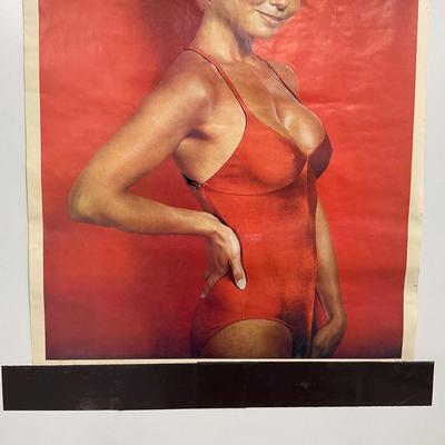 -257- COLLECTIBLE | Lonnie Anderson Poster