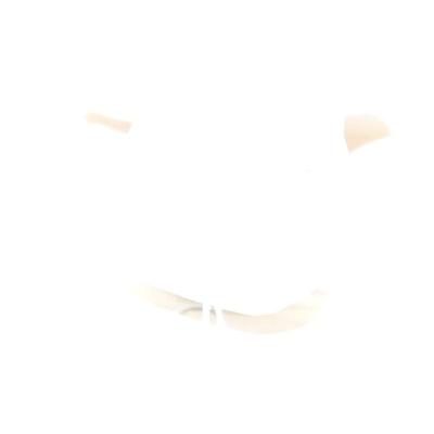 VINTAGE PEWTER PITCHER OF 1 GALLON / EXCELLENT ANTIQUE FOLK ART PAINTED WOODEN BIRD