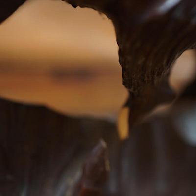 VINTAGE HAND CARVED WOOD BOAR