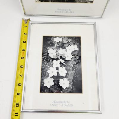 ANSEL ADAMS METAL FRAMED ART PRINTS