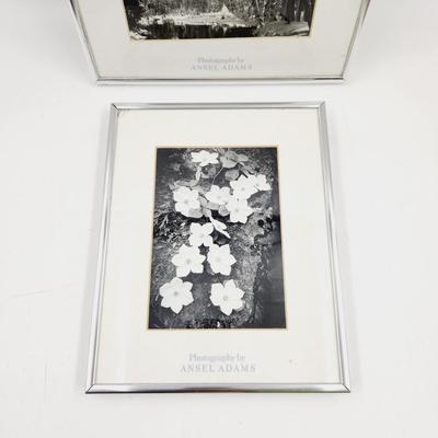 ANSEL ADAMS METAL FRAMED ART PRINTS