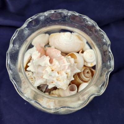 CLEAR VASE FULL OF AUTHENTIC SEA SHELLS