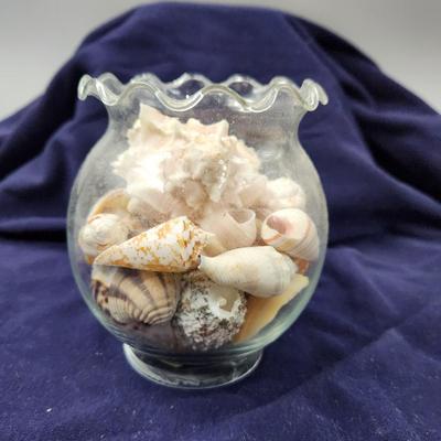 CLEAR VASE FULL OF AUTHENTIC SEA SHELLS