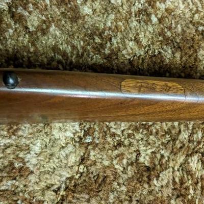 Glass Front Gun Cabinet w/ Extras