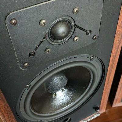 Vintage Polk Audio Model 4 2-Way Tube Speakers