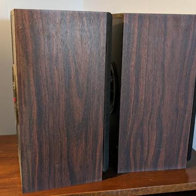 Vintage Polk Audio Model 4 2-Way Tube Speakers