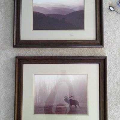 Wall Hangings and Home Decor