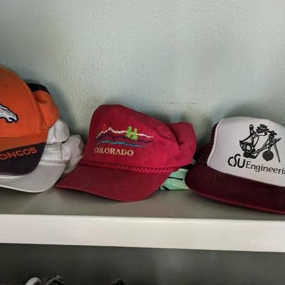 Contents of Hall Closet