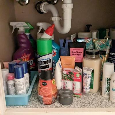 Contents of Bathroom