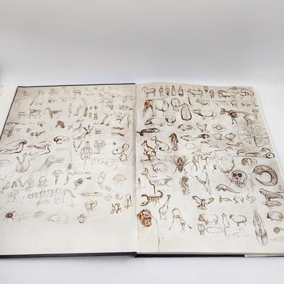 FANTASTIC 1986 LARGE NOAHS ARK by RIEN POORTVLIET BOOK