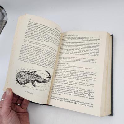 1969 IN THE WAKE OF THE SEA SERPENTS by BERNARD HEUVELMANS HARDBACK