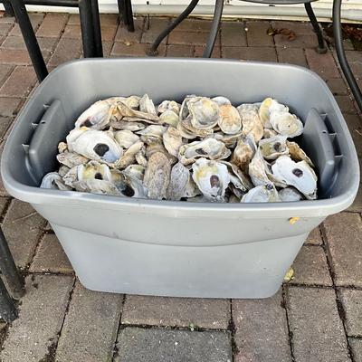 179 One Med Size 10 gal. Tub of Oyster Shells