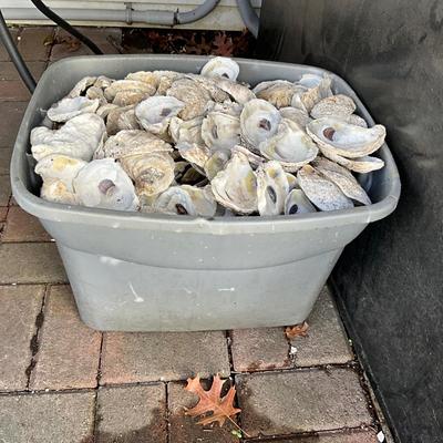 180 Med Size 10 gal. Tub of Oyster Shells