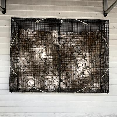 184 Caged Oyster Shell Wall Decor