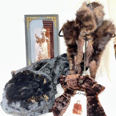 LOT 170 Victorian Ladies Loved Furs - Sheared Beaver Cape & Muff & Collars - Fur Collar - Cabinet Photos