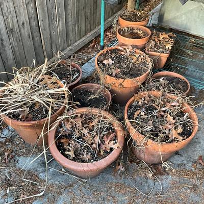 255 Lot of Various Sizes Clay Pots