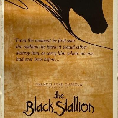 The Black Stallion insert card