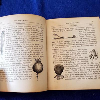 1883 The Child's Book of Nature