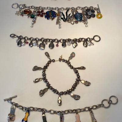 Assorted Chain and Charm Bracelets