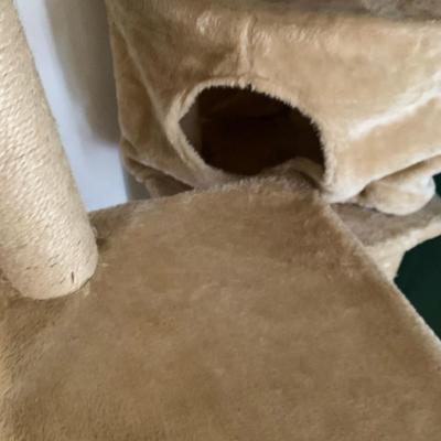 cat tree lots of hiding places