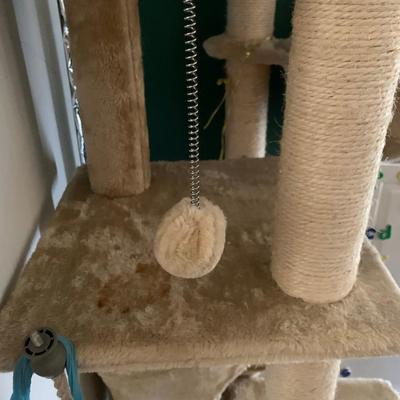 cat tree lots of hiding places