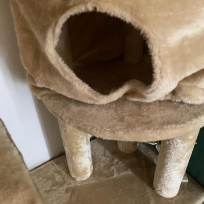 cat tree lots of hiding places