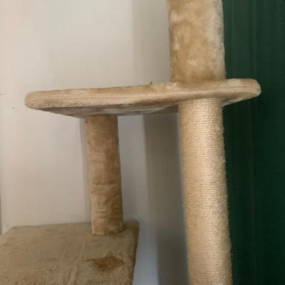 cat tree lots of hiding places