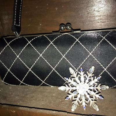 small purse/clutch