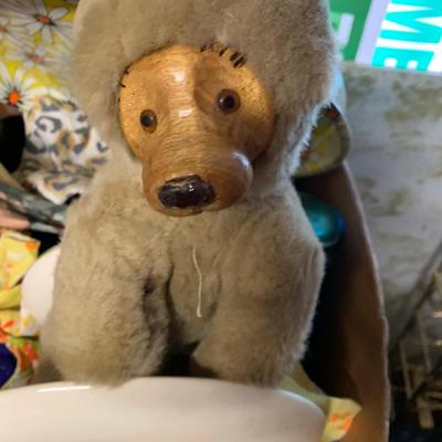 sugar loaf wooden faced bear