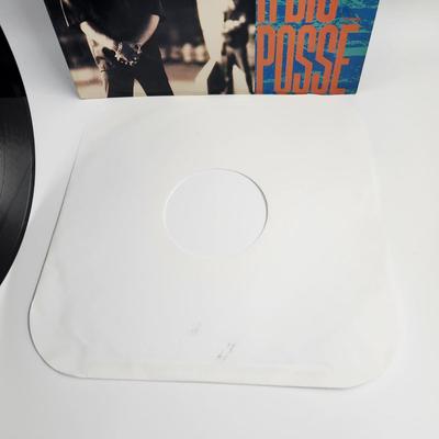 ARABIAN PRINCE SHES GOT A BIG POSSE LP ALBUM