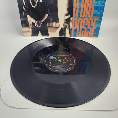 ARABIAN PRINCE SHES GOT A BIG POSSE LP ALBUM