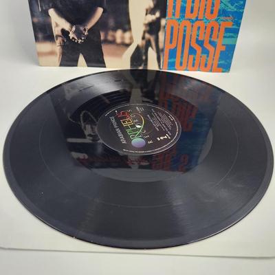 ARABIAN PRINCE SHES GOT A BIG POSSE LP ALBUM
