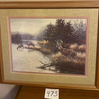 Deer Picture