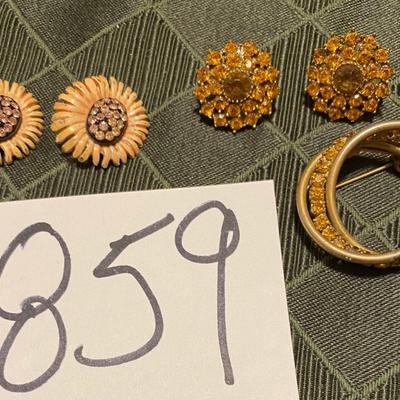 Clip On Earrings and Pin