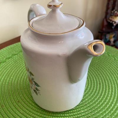 Old English Evelyn Webster Porcelain Wild Briar Rose Teapot
