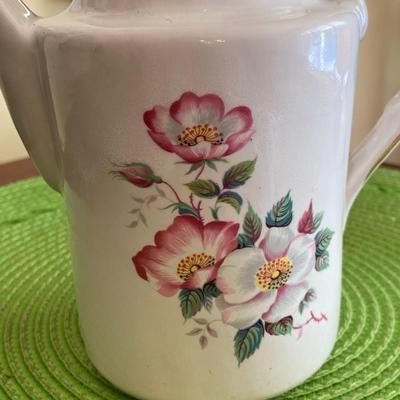 Old English Evelyn Webster Porcelain Wild Briar Rose Teapot