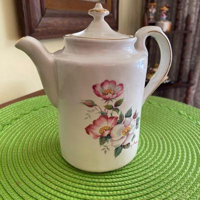 Old English Evelyn Webster Porcelain Wild Briar Rose Teapot
