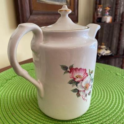 Old English Evelyn Webster Porcelain Wild Briar Rose Teapot