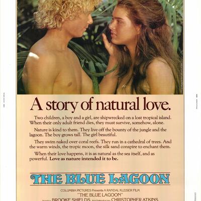 The Blue Lagoon original 1980 vintage one sheet movie poster