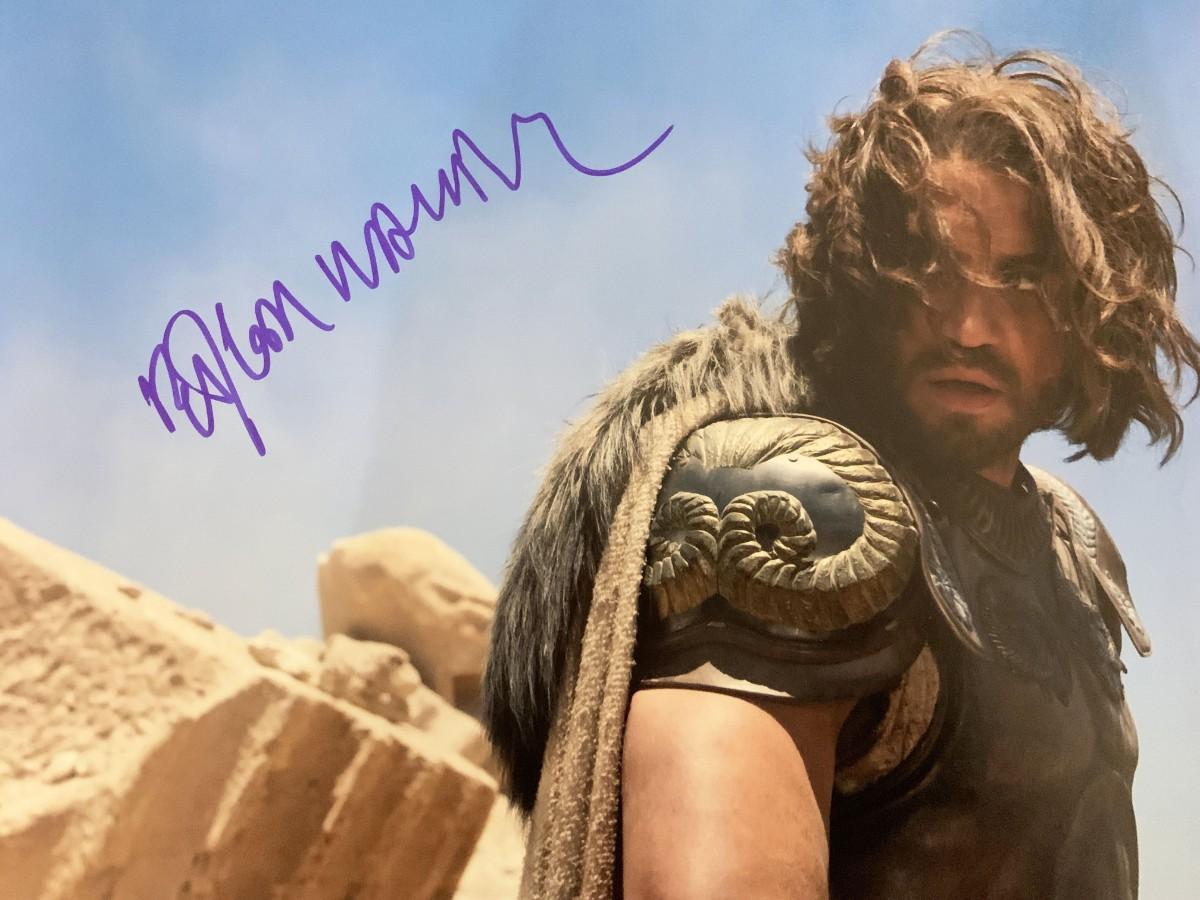 Wrath of the Titans Ã‰dgar RamÃ­rez signed movie photo | EstateSales.org