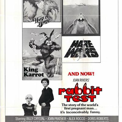 Rabbit Test original 1973 vintage one sheet movie poster | EstateSales.org