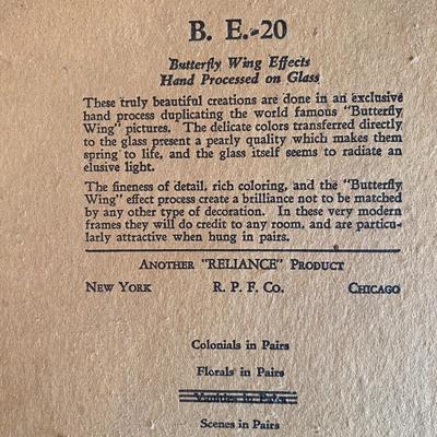 Vintage Victorian Butterfly Wing Glass by Smith Frederick