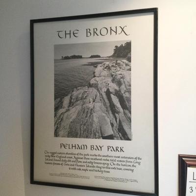 1031 The Bronx Pelham Bay Park Framed Print 1977