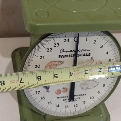 American Family Scale