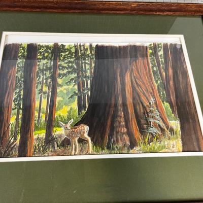 Faun in the Redwoods Watercolor on paper by G. Davis 