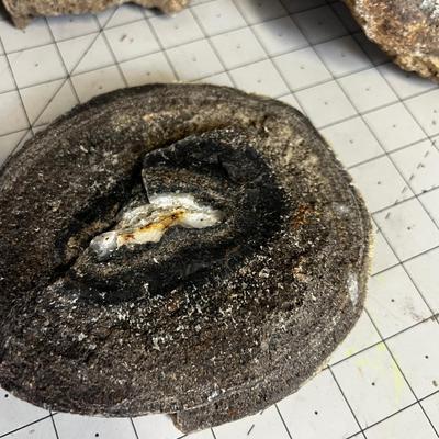 Pile-O Rock (Geodes Perhaps!) 