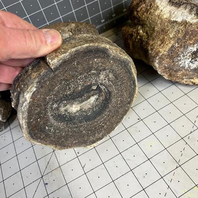 Pile-O Rock (Geodes Perhaps!) 