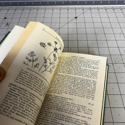 Filed Guide To Rocky Mountain Wildflowers Edition 1963