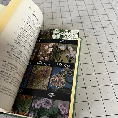 Filed Guide To Rocky Mountain Wildflowers Edition 1963