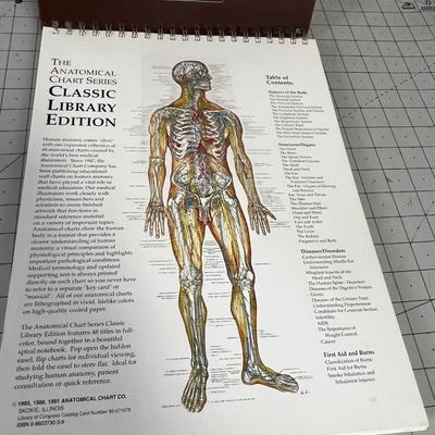 The Anatomical Chart Series 